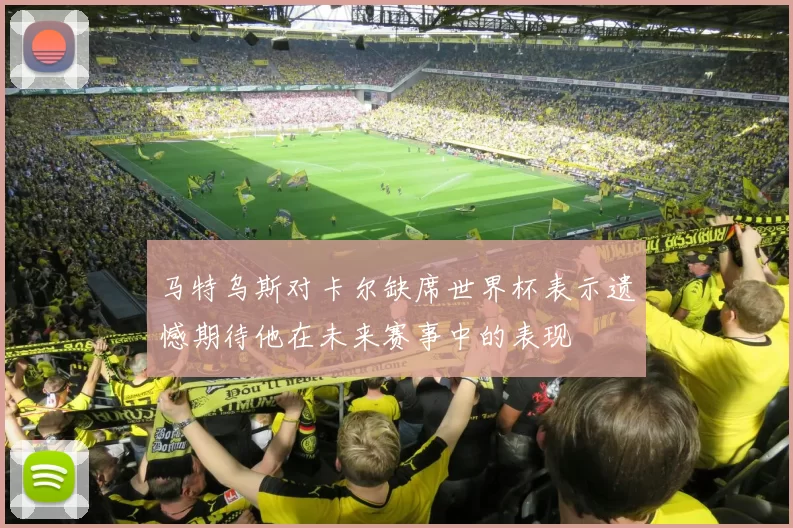 马特乌斯对卡尔缺席世界杯表示遗憾期待他在未来赛事中的表现